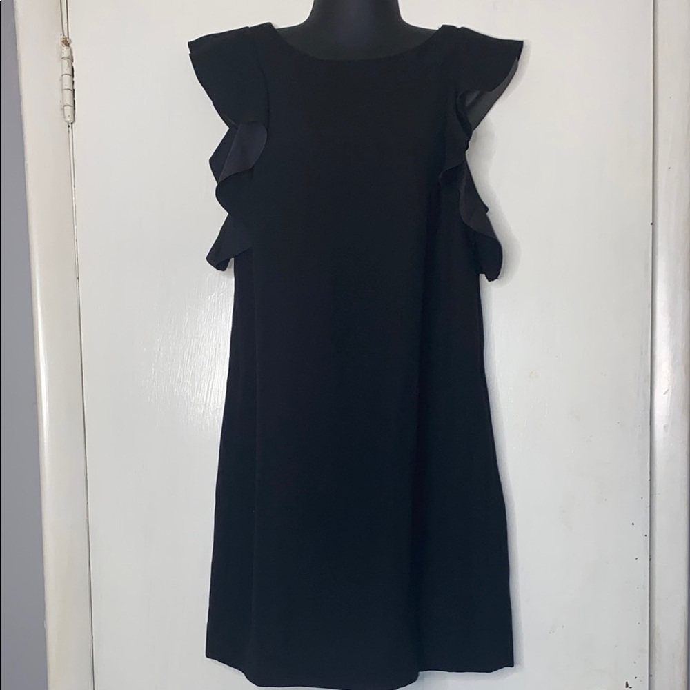 Banana Republic Black Ruffle Sleeveless Dress 0